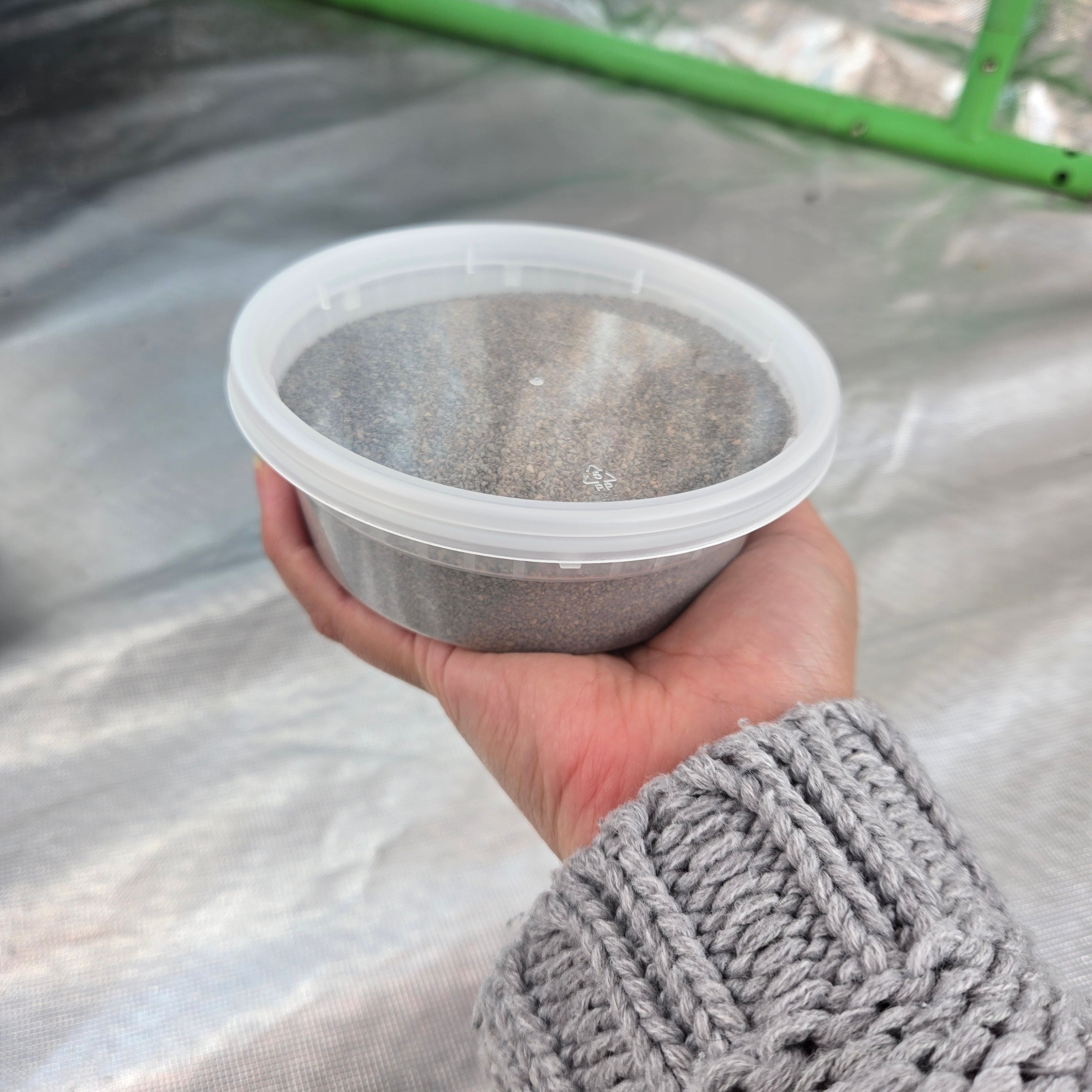 Systemic Insecticide Granules (Easy Pest Removal)