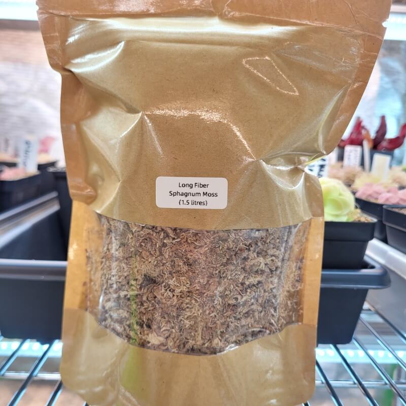 Nepenthes & Heliamphora Media Mix