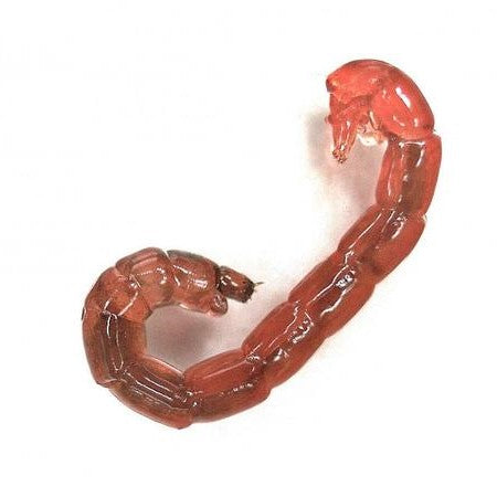 Freeze Dried Bloodworms Food for Carnivorous Plants