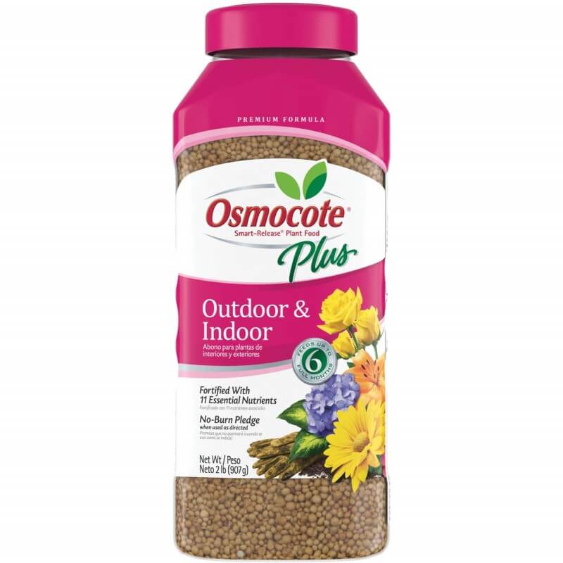 Osmocote Plus Pellet Fertilizer for Carnivorous Plants