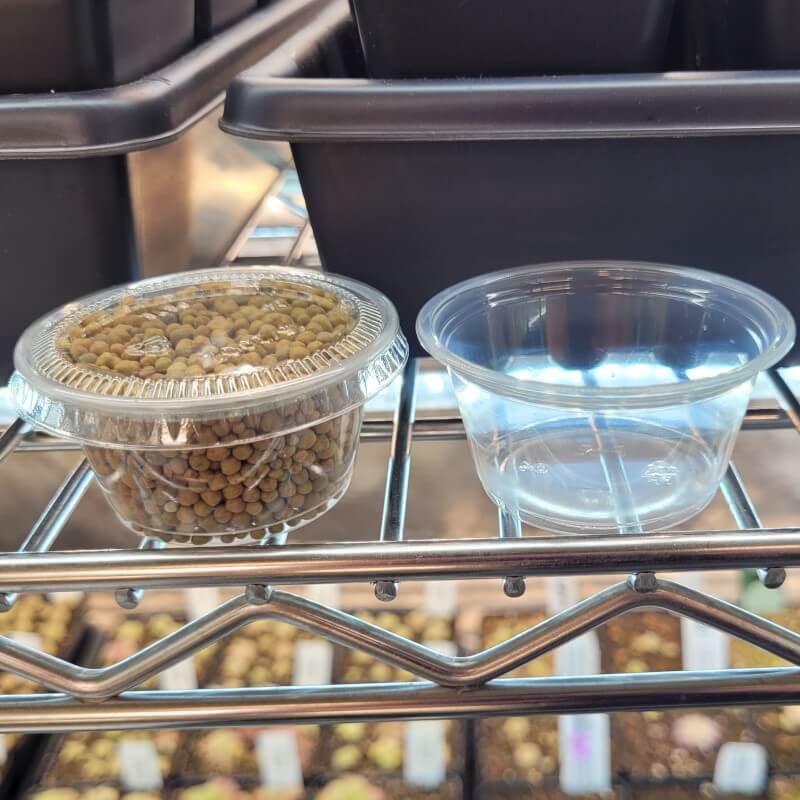 Osmocote Plus Pellet Fertilizer for Carnivorous Plants