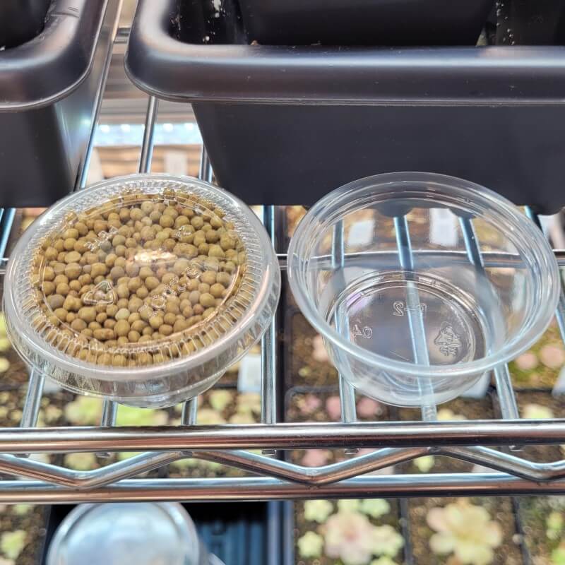 Osmocote Plus Pellet Fertilizer for Carnivorous Plants