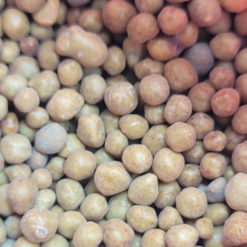 Osmocote Plus Pellet Fertilizer for Carnivorous Plants