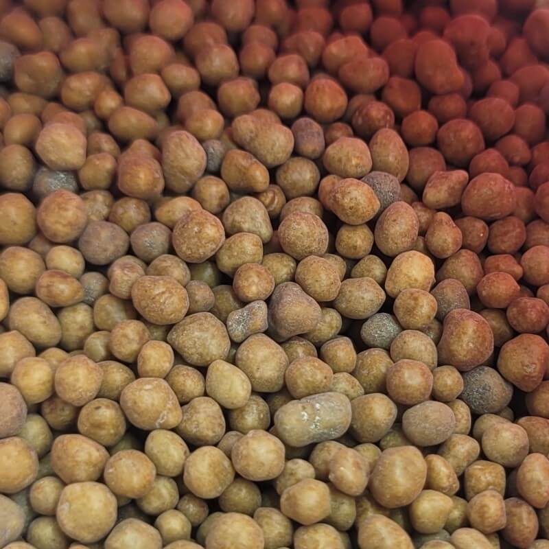 Osmocote Plus Pellet Fertilizer for Carnivorous Plants