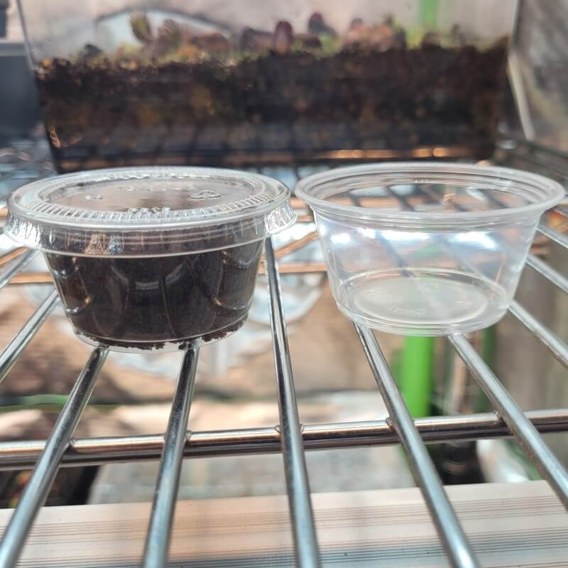 Sea Grow (Maxsea) Fertilizer for Carnivorous Plants