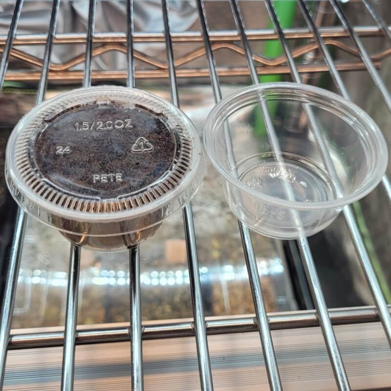 Sea Grow (Maxsea) Fertilizer for Carnivorous Plants